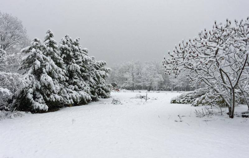 This kind of snow, when comes and goes quickly, offers beautiful scenes. This is along Rockville Street in Rockport. (Photo by Holly S. Edwards)