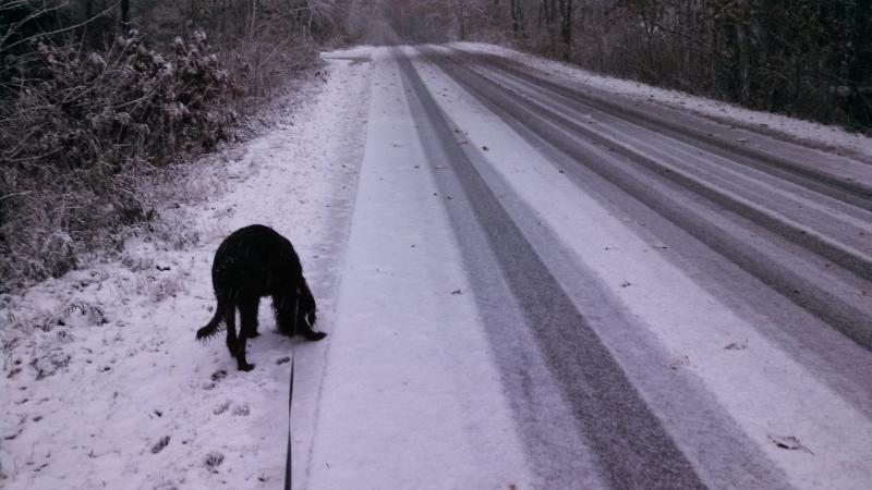 Back Narrows Road, Boothbay about 9:40 a.m. Snow has piled up considerably since then. (KEVIN BURNHAM/Boothbay Register)