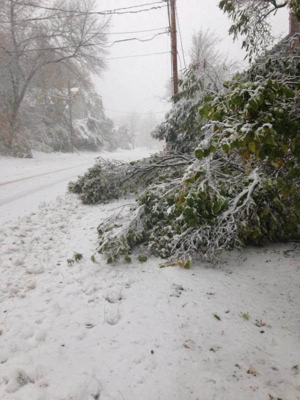 Rockport Village. (Photo courtesy Beth Davis)