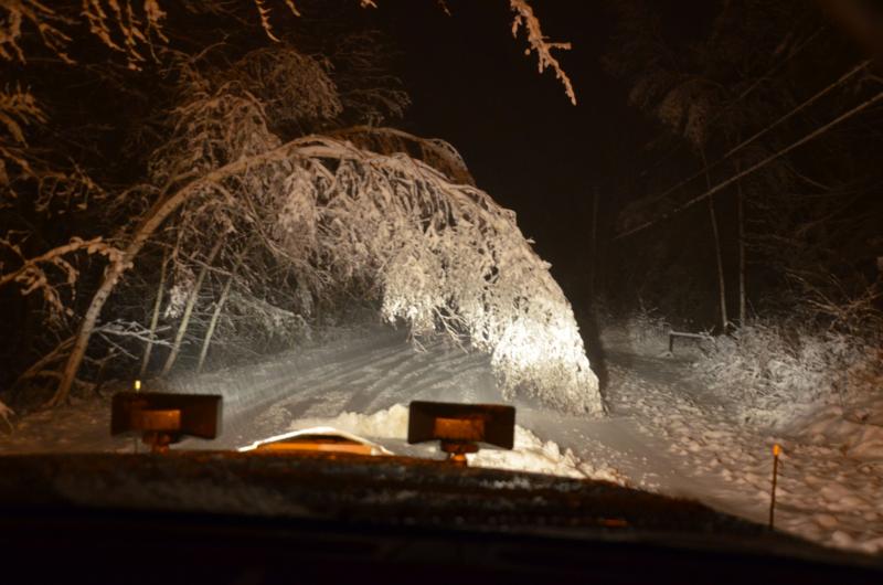 Snow was weighing down trees and limbs — again – by 10 p.m. Nov. 26. (Photo by Lynda Clancy).