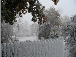 The view in Camden. (Courtesy Stacie Shortall Bennett)