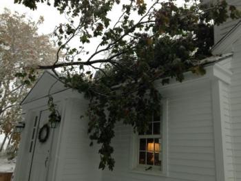 Trees have fallen onto roads, and houses.