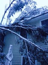 Outside Vicki Ingram Worden’s house in Camden. (Courtesy Vicki Ingram Worden)