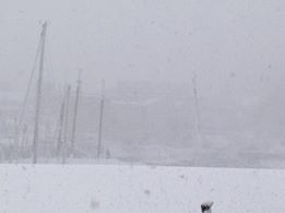 The view on Sea Street, looking over Camden Harbor towards Cappy’s. (Courtesy Christine Ramsay)