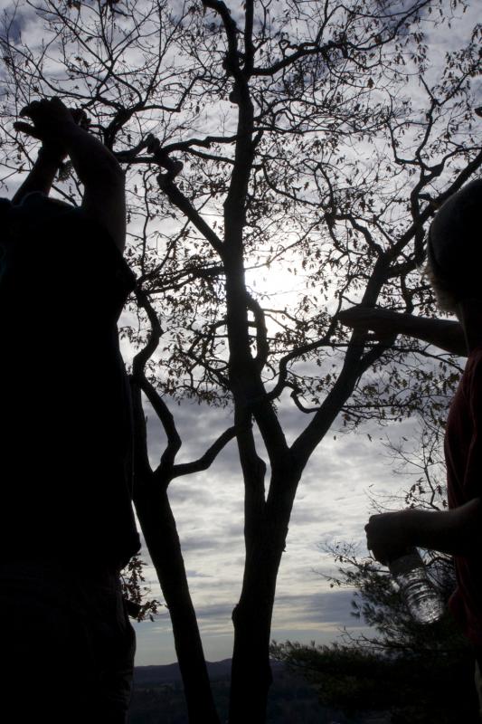 Tristan had just rejoined us in Salisbury Conn., after going to Vermont to see family. We were excited to have him back on the trail, and the first few miles of hiking brought us to Billy's View, where this picture of Aidan, and Tristan was taken. (Photo courtesy Devon Gordon)