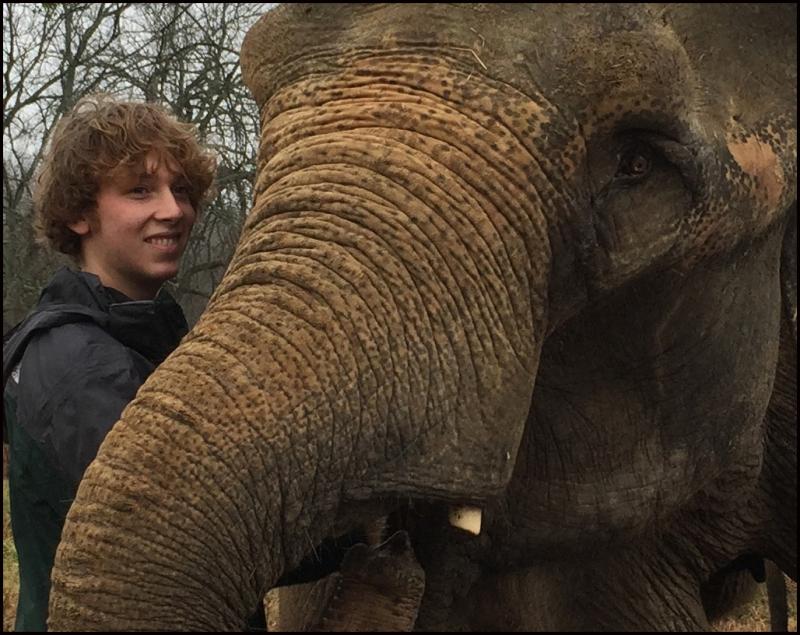Henry Laurita and Opal. (Photo by Lynda Clancy) hope elephants (1499)
