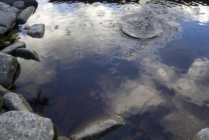As we approached the shelter we were going to sleep at near the bottom of Kinsman mountain, we came across a lake that sat quietly next to our shelter. The water was glassy and had a beautiful reflection in it. I decided to toss some rocks in to see how it looked disrupted. (Photo courtesy Devon Gordon)