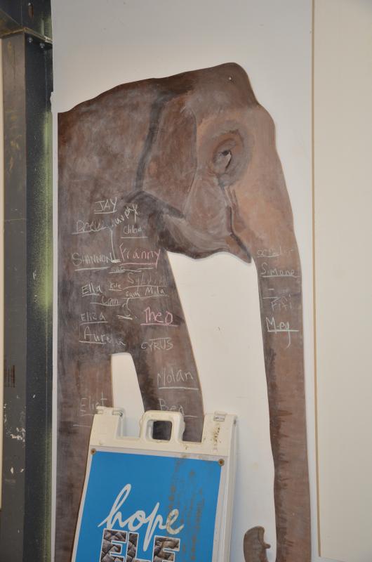 Art work at Hope Elephants in Hope. hope elephants (1499)
