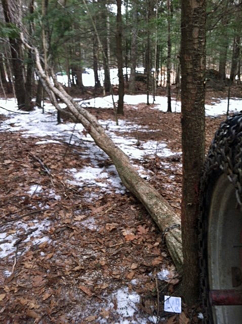 (Courtesy Maine State Police)
