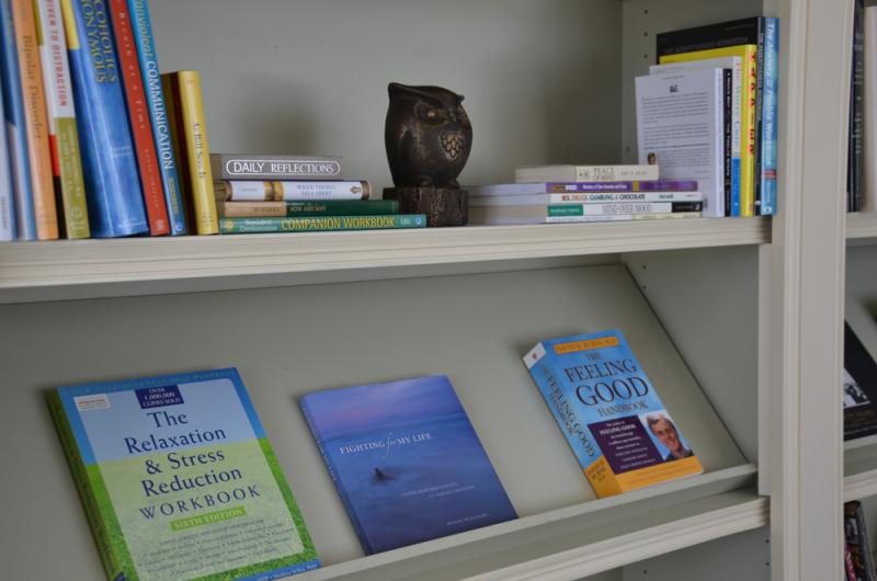 Some of the books on the shelves at Borden Cottage.