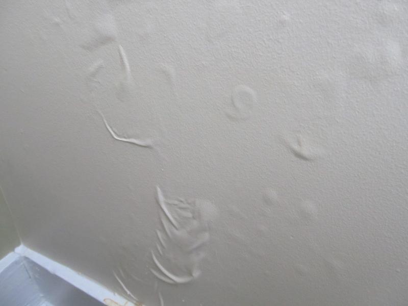 walls blister damage water ice causing cause nap dams tip help snow did