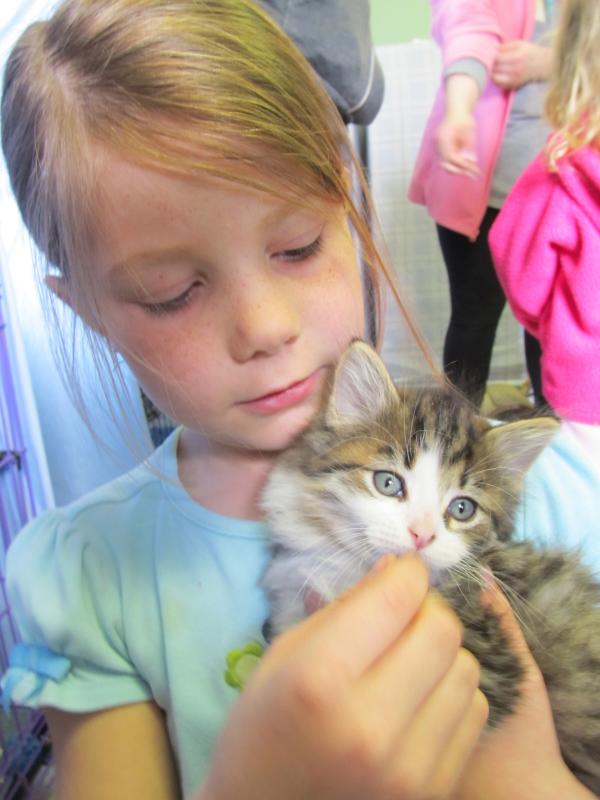 Laura Burgess, 8, holding one of the kittens. (Photo by Kay Stephens)