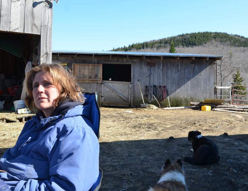 Wendy Harvey is empathetic — and saddened — by Wind Dancer Freedom’s fate, knowing the horse has been under extreme stress, captured from the wild and transported east on a truck. (Photo by Lynda Clancy)