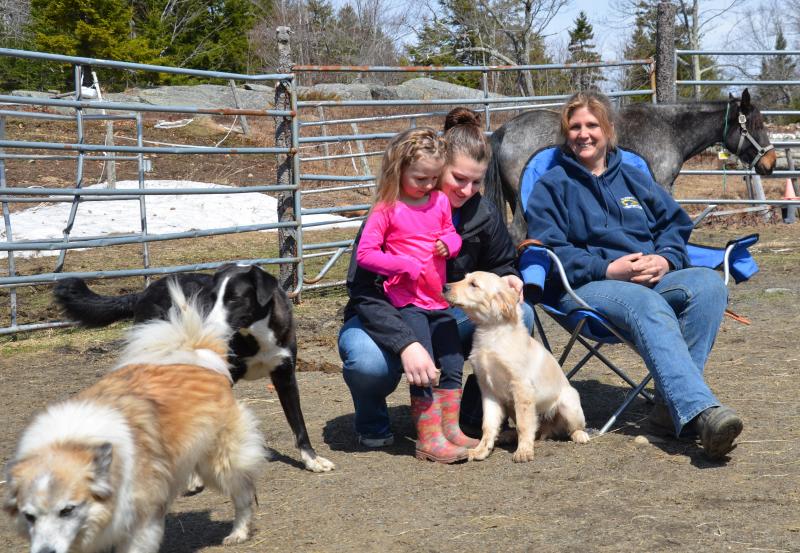 Hanging out in the paddock with family, dogs and Freedom, as the Wyoming mustang gets used to life in Maine. Wendy and Ashley Harvey, and Eliza Esancy. (Photo by Lynda Clancy)