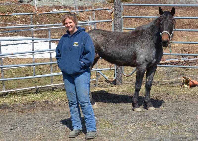 Wendy Harvey approaches and retreats from Wind Dancer Freedom, a five-year-old (they think) as she shows her that she will not be a threat. (Photo by Lynda Clancy)
