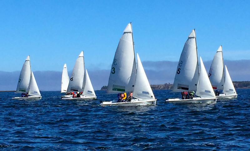 A fleet of sailboats competing in the Rockland Community Sailing Breakwater Blast Regatta May 2. (Courtesy Tori Willauer)
