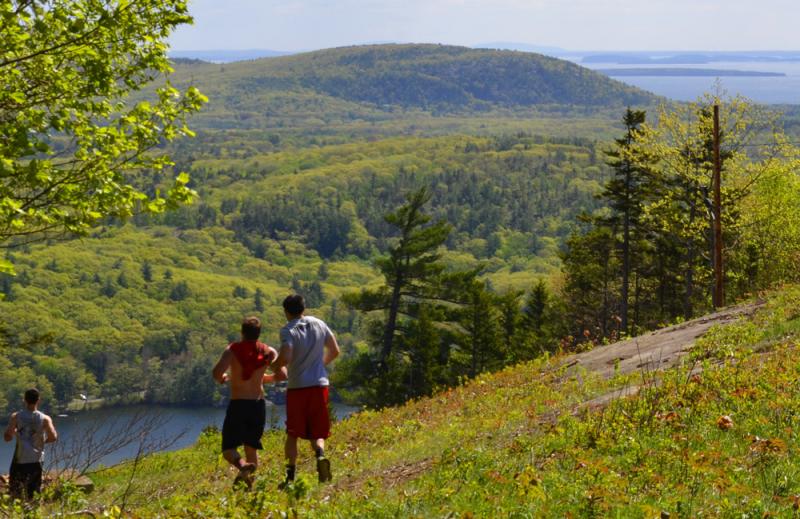 Over and down the hill. (Photo by Lynda Clancy)