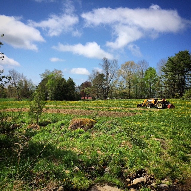 The farm in Union where Kathi Langelier grows many of the herbs for her tonics, extracts and tinctures. (Photo courtesy Katheryn Langelier)