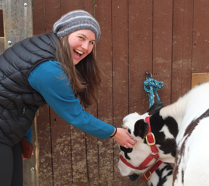 Christine Roback loved petting the cow.