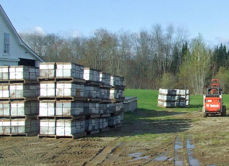 Honeybees and their hives staged and ready for placement in fields at Coastal Blueberry in Union. (Courtesy Dave Smith/Sparky’s Apiary)