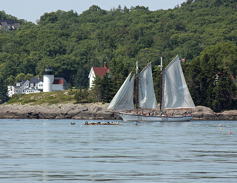 Another way to see Curtis Island and the light station and tower is via schooner, either by taking a two-hour trip out of Camden or a longer trip. Both offers views of the island coming and going out of the harbor. (Photo by Holly S. Edwards)