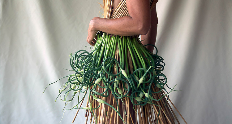 Jacinda Martinez’ garlic scape dresses will be part of the unusual and intriguing offerings during this weekend’s Maine Fare. (Photo courtesy Jacinda Martinez)