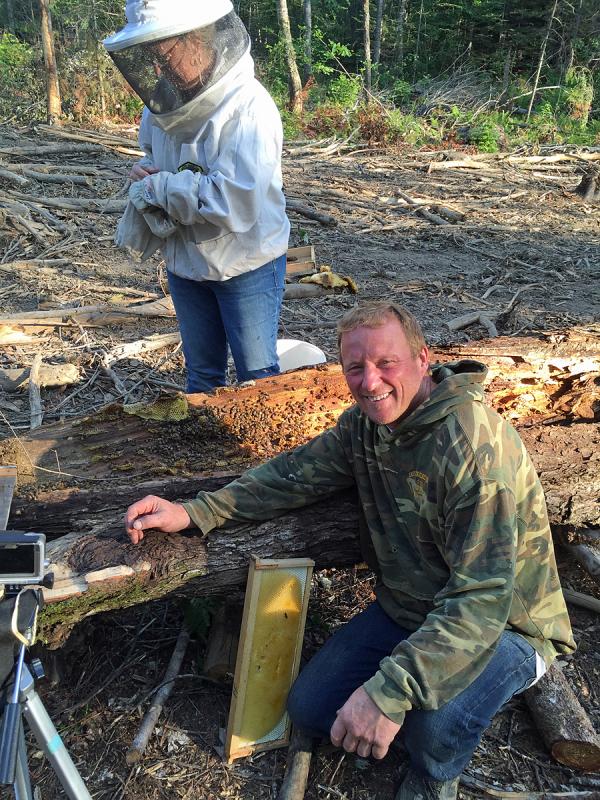 Glenn Barbour can now be counted as having a greater appreciation and understanding of bee behavior, and another great honeybee steward in the Midcoast. Edwards Apiary thanks for the opportunity to help you and the bees in your woodlot. (Photo by David Edwards)