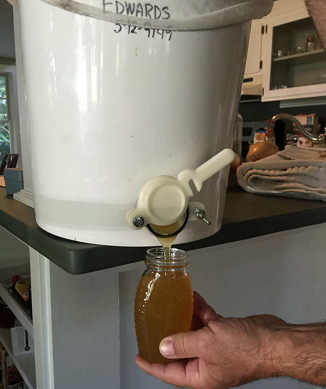 This isn’t a honey we would sell, as the quality isn’t up to snuff, but Dave is enjoying it in his daily gallon of ice tea. (Photo by Holly S. Edwards)