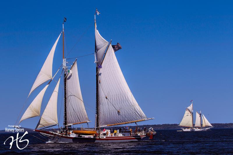 From left, schooners Lewis R. French and Isaac H. Evans. (Photograph by Harvey Spears)