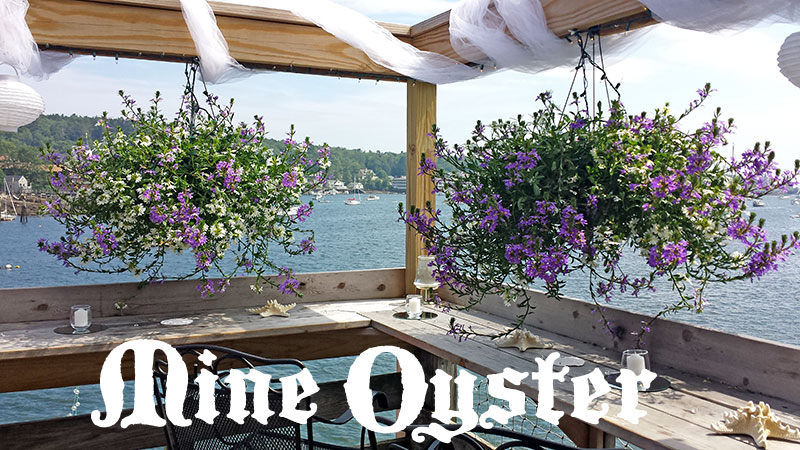Mine Oyster weddings Mine Oyster