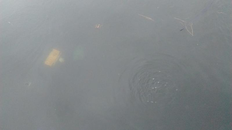 (Photo courtesy Sgt. Matthew Cook, Belfast Police Department)