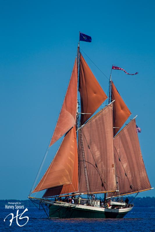 Schooner ‘Angelique.’ (Photograph by Harvey Spears)