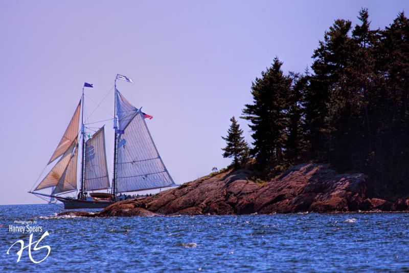 Schooner ‘Lewis R. French.’ (Photograph by Harvey Spears)