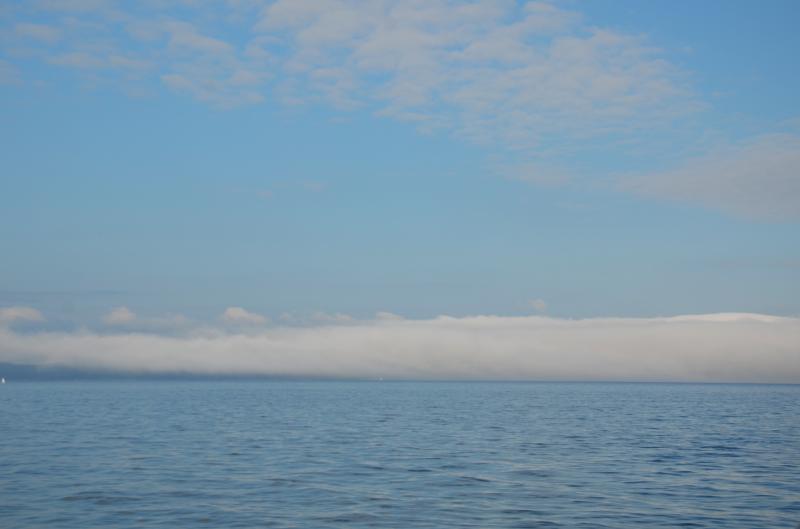 A fog bank approaches Cape Rosier. (Photo by Lynda Clancy)