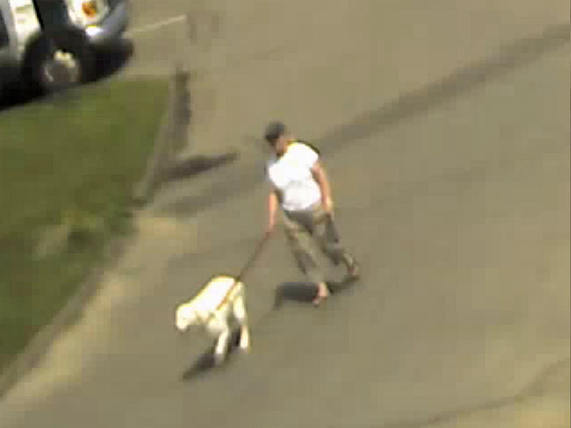 Rockport Police are seeking the identity of this woman, who was seen with her dog at Marine Park on the waterfront around noon Wednesday, July 29. (Courtesy Rockport Police Department)