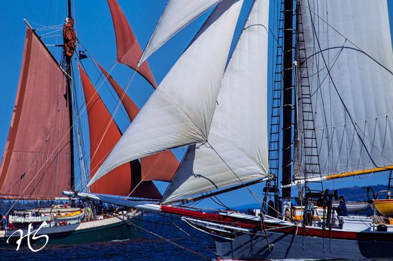 ‘Crossing Paths’ are the schooners ‘Angelique’ and ‘Lewis R. French.’ (Photograph by Harvey Spears)