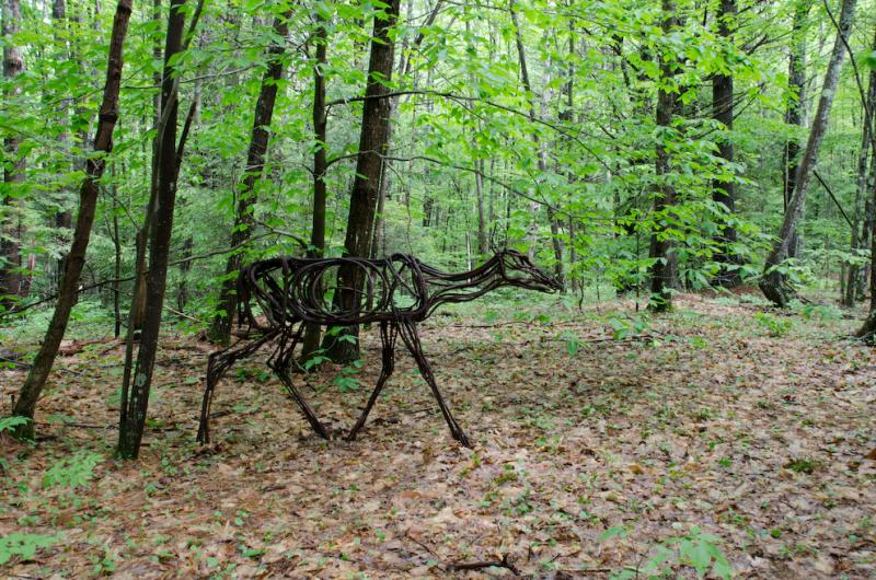 A road trip to a farm and woodland in Pownell on Sunday will allow visitors to take a wilderness walk and view artworks tucked in unlikely spaces. (Photo courtesy June LaCombe)