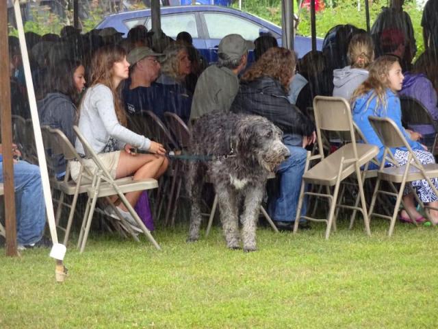 There were plenty of tents for people to sit and stand under when the skies opened up during the Maine Celtic Celebration Saturday, but breaks in the weather also provided opportunities to open the lawn chairs and spread out the blankets to listen to the music and watch the performances down on the Belfast waterfront. The Maine Celtic Celebration continues Sunday with the Highland Heavy Games and New World Cheese Roll Championships highlighting the days events. There will also be plenty of music and dance performances, workshops and other things to do, and the weather should be nice, so plan to head down for the day. (photo by Erica Thoms)