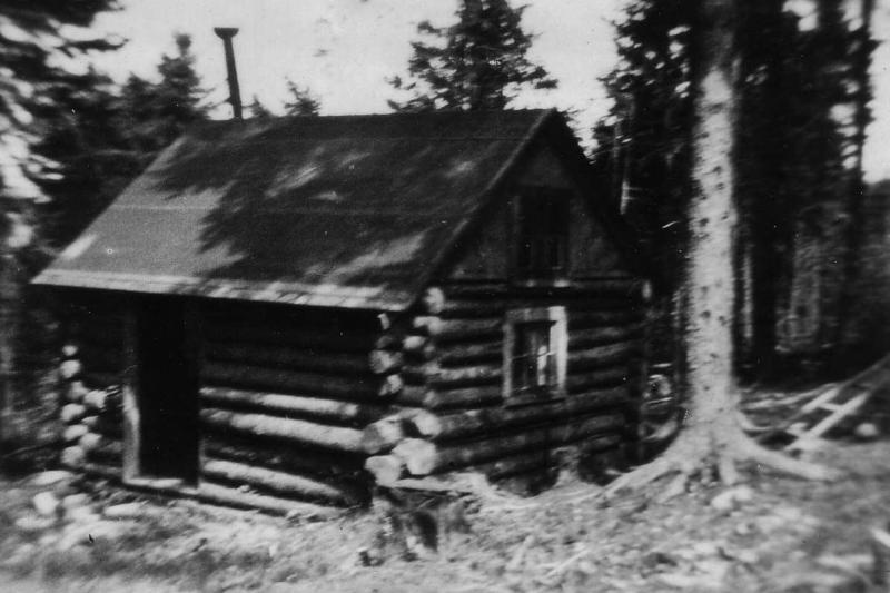 The little cabin that Clyde built. All’s that left now is the rusting wood stove.
Photo courtesy of Ruth Spandonis cabin