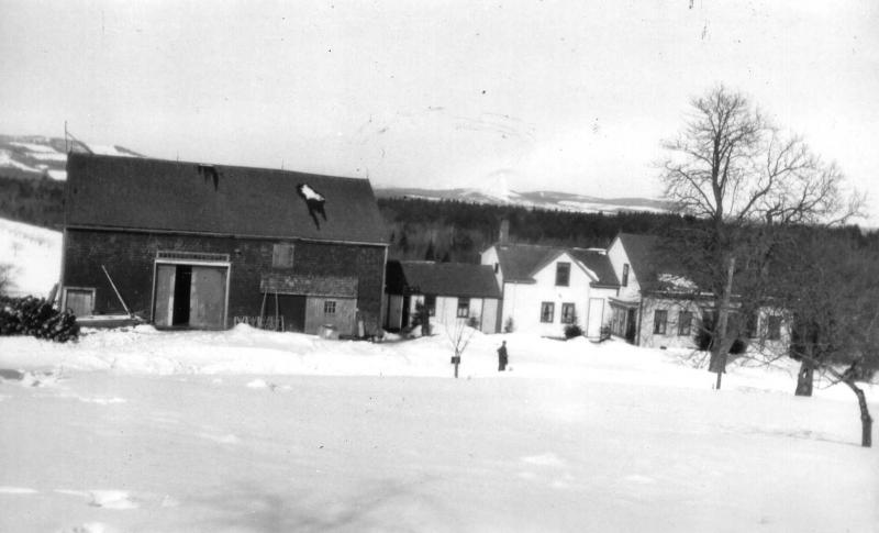A January 1921 view of the Young farm.
Photo from Lincolnville Historical Society young farm