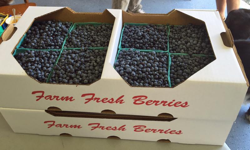Cleaned, sorted and packed for sale. (Photo by Holly S. Edwards)