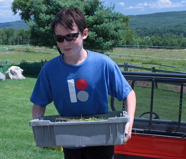 Unloading raked blueberries at Ridgeberry Farm in Appleton. (Photo by Holly S. Edwards)