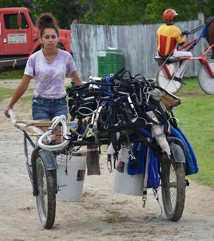 Jennifer Petrelli’s father trains horses. Jennifer gets to wash and tend to the harnesses.