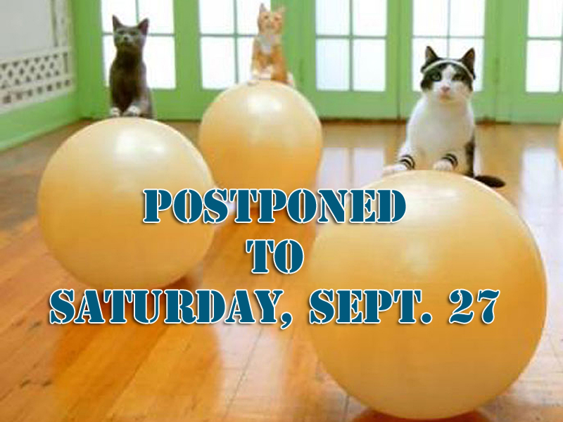 Want to see a video of a cat workout? You know you do. But you’ll have to wait until Sunday. Sept. 27 now, due to the weather this weekend, to see it and other cat videos at the Farnsworth Art Museum’s second annual Cat Festival and Fair. (Photo courtesy Farnsworth Art Museum)
