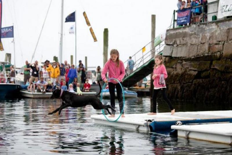 2012 Boatyard Dog® Trials (Photo courtesy Jeff Scher)