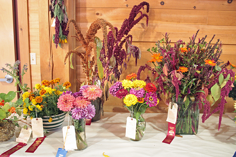 Common Ground Country Fair 2014 (Photo by Holly S. Edwards)