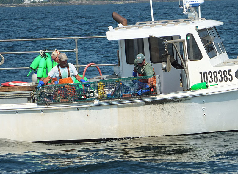 The lobster boat Kerry Ellen hauls traps as we pass.