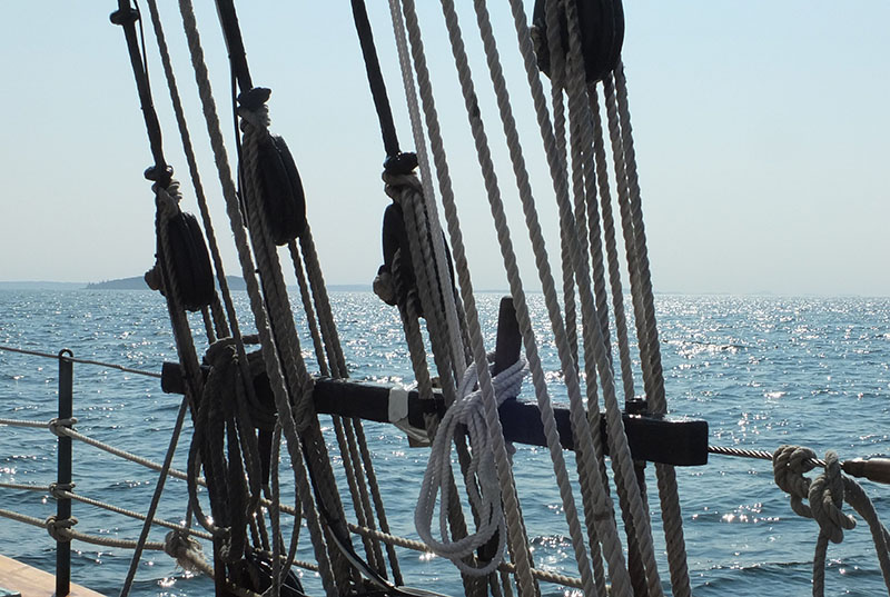 Through the rigging of the Appledore.