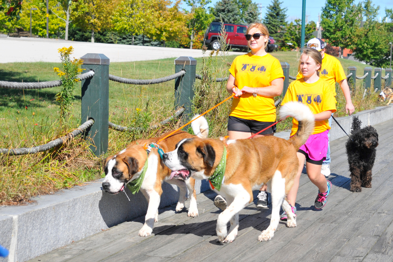 The walk along the Rockland Boardwalk was part of the one-mile dog walk. (Photo by Ron Hawkes)