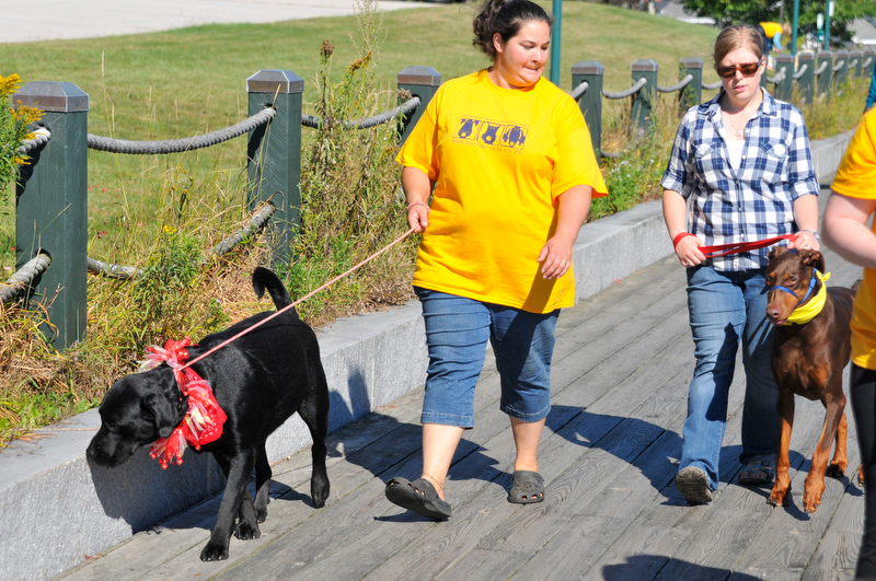 The walk along the Rockland Boardwalk was part of the one-mile dog walk. (Photo by Ron Hawkes)
